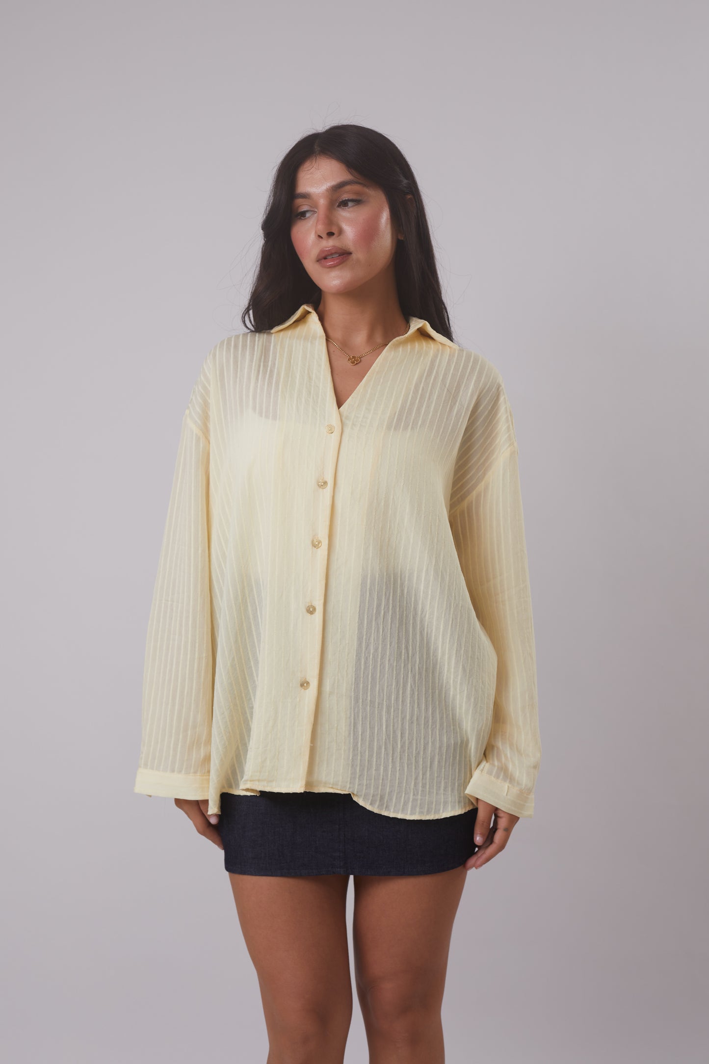 Sheer Striped Shirt